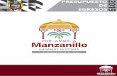 PRESUPUESTO DE 2019 EGRESOS - Manzanillo...Presupuesto de Egresos de la Federación para el ejercicio 2019, aprobados por el H. Congreso de la Unión y publicados en el Diario Oficial