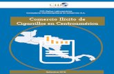 Comercio Ilícito de Cigarrillos en Centroamérica · La relación entre crimen organizado y tráfico de cigarri-llos no es nueva. En la Convenio Marco sobre Control del Tabaco (CMCT),