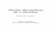 Abejas altoandinas de Colombia - Bio Nicade biólogos dedicados a la conservación, botánicos, ecólogos de la polinización y otros profesionales que deseen trabajar en los Andes.