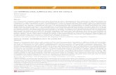 La terminologia jurídica del IATE en catalàopenaccess.uoc.edu/webapps/o2/bitstream/10609/85725/1/... · 2020-06-03 · Coordinació de Terminologia del Parlament Europeu TERMCOORD