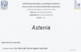 Astenia - sempro2.files.wordpress.com · Astenia| Semiología 1. Gómez Peralta F, Santos Mazo E, Galofré Ferrater JC, Salvador Rodríguez J. Protocolo diagnóstico de la sospecha