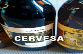 CERVESA - PRODUCTES LOCALS DE LA SELVA · 2019-10-21 · cas de la cervesa, es poden ressaltar aspectes com l’elaboració mitjançant una recepta artesanal, els maridatges de la