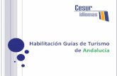 Habilitación Guías de Turismo de Andalucía...Acreditación de requisitos de la cualificación profesional Se considerarán cumplidos, a los solos efectos de esta habilitación,