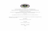 UNIVERSIDAD NACIONAL DE CHIMBORAZO FACULTAD DE CIENCIAS POLÍTICAS Y …dspace.unach.edu.ec/bitstream/51000/5175/1/UNACH-EC-FCP... · 2019-02-19 · 3 1.2 Página de revisión del