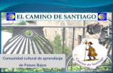 Camino de Santiago · La tarta de Santiago es el postre mas típico de la repostería gallega. Este bizcocho tradicional está elaborado con harina, azúcar, huevos, almendras molidas