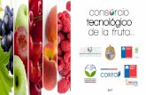 Presentación de PowerPoint€¦ · Director Dr. Patricio Arce-Johnson; Ciencias Biológicas, PUC. Obtener variedades de uva de mesa, que posean buena calidad de fruto, apirénicas