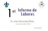 Dr. Juan Cervantes Pérez - Universidad Veracruzana · Dr. Juan Cervantes Pérez Julio-diciembre 2014 Enero 2015. Contenido 1.Docencia 2.Investigación 3.Vinculación 4.Administración