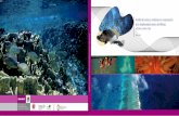 Análisis de vacíos y omisiones en conservación de la ... · Análisis de vacíos y omisiones en conservación de la biodiversidad marina de México: océanos, costas e islas México,