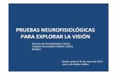 PRUEBAS NEUROFISIOLÓGICAS PARA EXPLORAR LA VISIÓN · Pruebas de neurofisiología ocular Registro de una perturbación eléctrica en SNC generada por un estímulo Servicio Neurofisiología.