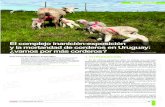 El complejo inanición-exposición y la mortandad de corderos en … · 2019-04-29 · corderos, un ciclo de jornadas de divulgación a cargo de técni - cos del Secretariado Uruguayo
