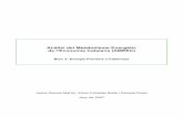 Anàlisi del Metabolisme Energètic de l’Economia Catalana ... · també la distribució del consum entre els diferents sectors econòmics. Posteriorment es tracten més detalladament