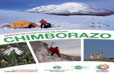 Contenido · b Contenido Mapa del Patrimonio de Áreas Naturales del Estado (PANE) Reserva de Producción de Fauna Chimborazo Gráciles vicuñas junto a la montaña más cercana al