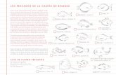 LOS PESCADOS DE LA CASETA DE BOMBASlacasetadebombas.es/wp-content/uploads/2019/10/... · LOS PESCADOS DE LA CASETA DE BOMBAS Cada uno de nuestros peces tiene nombre y apellidos; el