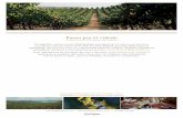 Paseo por el viñedo - Bodega Séptima · Para adentrarnos en el mundo del vino y del cava, guías expertos en viticultura explicarán la tradición del cultivo de la vid y los trabajos