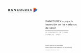BANCOLDEX apoya la inserción en las cadenas de valorproyectos.andi.com.co/czf/Documents/Memorias Noveno... · DORIS AREVALO ORDOÑEZ doris.arevalo@bancoldex.com Oficina (+57-1) 4862485