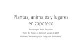 Plantas, animales y lugares en zapotecorosemarybeamdeazcona.com/wp-content/uploads/2019/04/zapotec-… · Plantas, animales y lugares en zapoteco Rosemary G. Beam de Azcona Taller