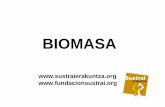 Presentación sobre biomasa para ayuntamientos...La central de generación eléctrica dispondrá anualmente de 116.000 toneladas/año de biomasa forestal que supone 20 ó 25 trailers