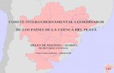 COMITÉ INTERGUBERNAMENTAL COORDINADOR DE ...cari.org.ar/pdf/proyectos-hidricos/cic.pdflos recursos naturales del área. I) El conocimiento integral de la Cuenca del Plata. Art. 1.