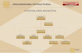 CONTRALORÍA MUNICIPALtonala.gob.mx/portal/assets/estructurales-2013.pdf · 2015-12-03 · página 4 organigrama estructural director de juzgados municipales juez municipal (4) procurador
