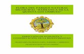 FLORA DEL PARQUE NATURAL MUNICIPAL “BARRANCA DE LA …€¦ · 2 Presentación En el presente informe se brinda un listado actualizado de las plantas vasculares del Parque Natural