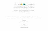 UNIVERSIDAD CATÓLICA ANDRÉS BELLO …biblioteca2.ucab.edu.ve/anexos/biblioteca/marc/texto/AAT...competencia. El posicionamiento implica implantar los beneficios distintivos y la