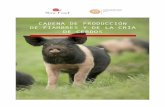CADENA DE PRODUCCIÓN DE FIAMBRES Y DE LA CRÍA DE CERDOS · 2 Cada fase de la cadena de producción de fiambres, incluida la cría de cerdos, debe realizarse localmente y debe estar
