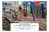 Informe - SAG | Servicio Agrícola y Ganadero · INFORME PROGRAMA CONTROL BIOLÓGICO DE Sirex noctilio F. (Hymenoptera: Siricidae): 2006-2017 5 Entre las plagas que afectan a las