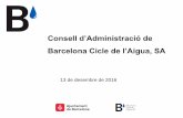Consell d’Administració de Barcelona Cicle de l’Aigua, SA i Documentacio_Desembre 2016.pdf · SUDS. GRUP DE TREBALL MULTIDISCIPLINARI Objectiu del GT SUDS: Unificar els criteris
