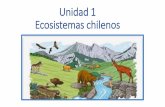 Unidad 1 Ecosistemas chilenoscampinoclases.cl/wp-content/uploads/2020/03/Cs... · Animales Aéreos, acuáticos terrestres Microrganismos Bacterias, virus FACTORES ABIÓTICOS Componentes