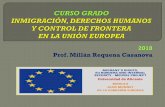 2018 Prof. Millán Requena Casanovarua.ua.es/dspace/bitstream/10045/79847/1/... · Isla de Tierra: demanda ante el TEDH contra España - infracción Protocolo adicional Nº 4 al Convenio
