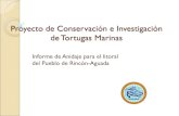 Proyecto de Conservación e Investigación de Tortugas Marinas...Zonas de Anidaje de Tortugas Marinas en el Área Noroeste de Puerto Rico El proyecto de Tortugas Marinas del Área