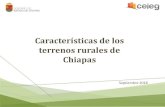 Presentación de PowerPoint - Chiapas · 2018-10-23 · Superficie municipal con tenencia de la tierra de tipo ejidal Porcentaje de la superficie municipal con tenencia de la tierra