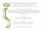 UNIVERSIDAD NACIONAL AGRARIArepositorio.una.edu.ni/3405/1/tnh10p792.pdf · Evaluación de tres manejos (Químico, Biológico y Botánico) de áfidos (Myzus spp.) y otros artrópodos