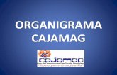 ORGANIGRAMA CAJAMAG · organigrama en reunión celebrada el 14 de febrero de 2019, se saca compras de Gestión Logística y se pasa a depender del Jefe de División Financiera. 14/02/2019