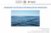 Presentación de PowerPoint - gob.mx · Dirección de Sanidad Acuícola y PesqueraCertificado de Sanidad Acuícola para la Exportación de Especies Acuáticas, sus Productos y Subproductos