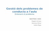 Gestió dels problemes de conducta a l’aula · Gestió dels problemes de conducta a l’aula Entenent el problema SEETDIC VOC Àngels Arroyo Gemma Pérez Isidro Raya. ... •Per
