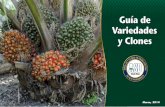 Guía de Variedades y Clones - Agencias JOP€¦ · Guía de Variedades y Clones. Su preferencia por nuestros materiales de siembra de palma aceitera nos motiva a innovar continuamente,