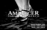 Mélissa Gacôgne : baile José Jiménez : cante, guitarra ... · « Ser Flamenco ». A los 14 años, consigue el certificado de estudio musical de la escuela regional (Le Thor, 84).