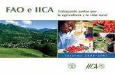 FAO e IICArepiica.iica.int/docs/B0660e/B0660e.pdf · trabajo realizado en el ámbito de la salud animal (4), específicamente en los proyectos relacionados con el fortalecimiento