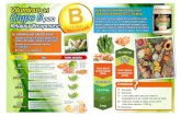 Vitaminas Hay muchos miembros más en el Grupo B para grupo de vitaminas … · Vitaminas Usos Fuentes principales Idem B1 Idem B1 Idem B1 Granos enteros, vegetales de hoja verde,