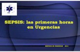 SEPSIS: las primeras horas en Urgencias CLiNICA...30-40% sepsis que ingresan en U.C.I proceden de Urgencias 45.000 casos de Sepsis Grave en España : 13.000 fallecerán En 2005 : mortalidad