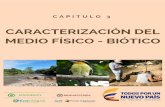 Corpoamazoniaautodiscover.corpoamazonia.gov.co/images/2018/consultas/hacha/C… · 3.1 BIODIVERSIDAD Este componente contiene la caracterización de biodiversidad (vegetación y fauna)