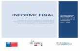 INFORME FINAL - Fondo Chile · INFORME FINAL Documento que muestra en detalle las actividades que se ... programas e instrumentos que lo ayuden a responder adecuadamente el reto que