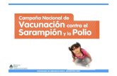 PROGRAMA DE INMUNIZACIONES. ARGENTINA 2009salud.gob.ar/.../anexo-6-campana-vacunacion-06-09.pdfPROGRAMA DE INMUNIZACIONES. ARGENTINA 2009 CAMPAÑA NACIONAL DE VACUNACION para Sarampión