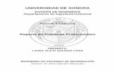 UNIVERSIDAD DE SONORAcp.isi.uson.mx/practicas_docs/212200530-reporte.pdf · 2016-10-19 · 4 1. INTRODUCCIÓN En la reglamentación de la Universidad de Sonora se tiene contemplado