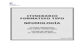 ITINERARIO FORMATIVO TIPO - Osarabaosaraba.eus/wp-content/uploads/2020/03/2020-ift-neumologia.pdf · espectacular en el conocimiento de la fisiopatología del asma, las enfermedades