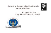 Salud y Seguridad Laboral: reto sindical Proyecto de Ley N ...white.lim.ilo.org/spanish/260ameri/oitreg/activid/proyectos/actrav/... · Salud y Seguridad Laboral: reto sindical Proyecto
