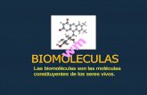 BIOMOLECULAS - biolobi.com · BIOMOLECULAS Las biomoléculas son las moléculas constituyentes de los seres vivos. wm. LAS BIOMOLÉCULAS También se denominan “principios inmediatos