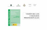 VISIÓN DE LOS COLEGIOS PROFESIONALES...VISIÓN DE LOS COLEGIOS PROFESIONALES En la Asamblea General del Colegio de Ingenieros Técnicos de Obras Públicas, celebrada en Alicante el