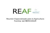 Reunión Especializada para la Agricultura Familiar del MERCOSUR Rodriguez.pdf · 2014-11-17 · Trabajo e Ingresos en la Agricultura Familiar del MERCOSUR • Los 7,2 millones de